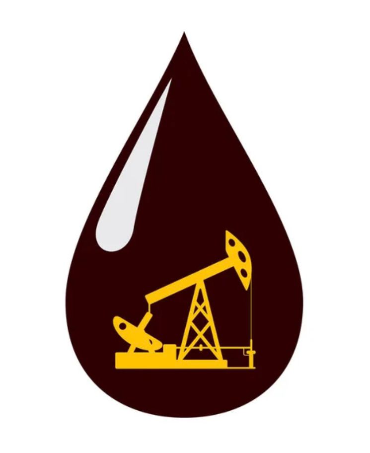 whatsapp image 2026 04 06 at 11.12.50 am